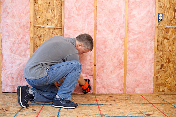 Best Radiant Barrier Insulation  in Ocean View, DE