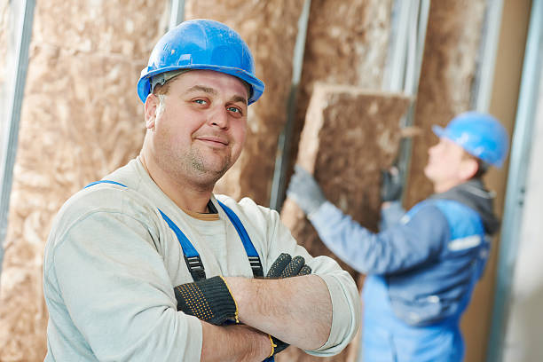 Best Basement Insulation  in Ocean View, DE