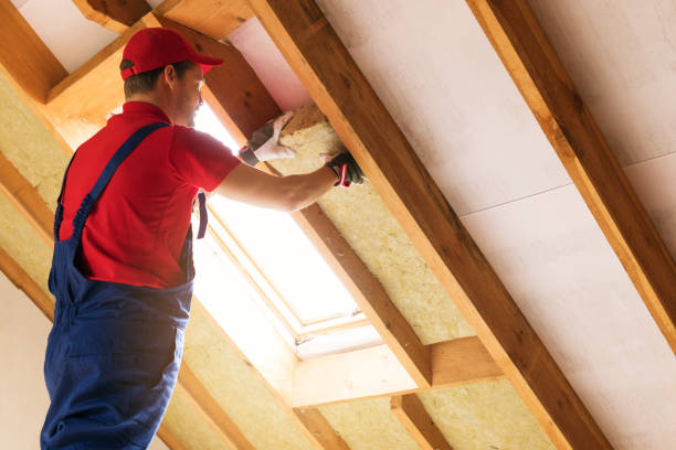 Best Spray Foam Insulation  in Ocean View, DE